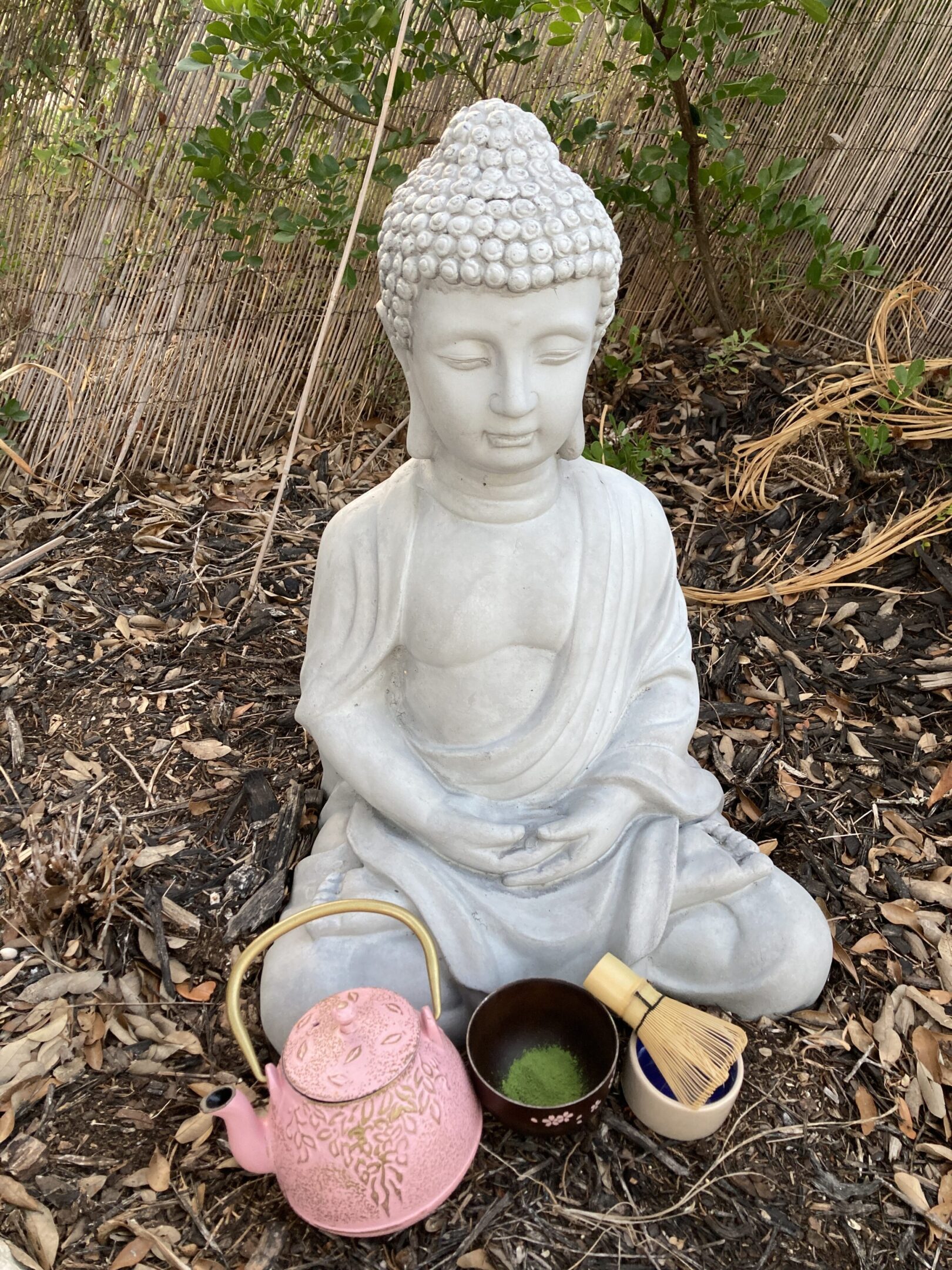 A serene Buddha statue surrounded by tea cups and natural foliage.